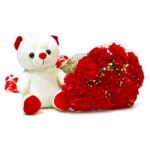 Red Carnation N Teddy