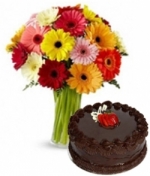 First Step 20 Mixed Gerberas along with 1/2 Kg Chocolate Cake