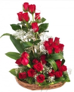 Rose Elegance 24 Roses