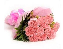 10 Pink Carnation