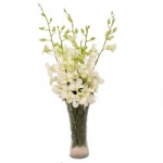 Vase Arrangement White Orchids