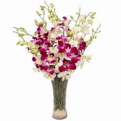 Mix Orchid Vase