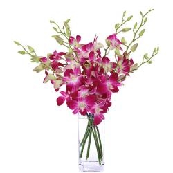 6 Purple Orchid Vase Arrangement