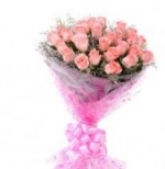 Pink Beauty