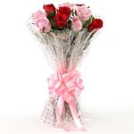 Red and Pink Roses