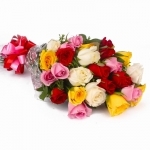 Colouful Reveling