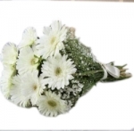 10 White Gerbera