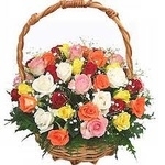 20 Mix Roses Basket