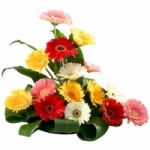 Basket Of Multicolour Gerbera