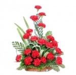 20 Carnation Basket