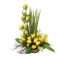 Little Miss Sunshine