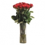 Forever Enthusiastic