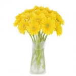 Sunny Yellow Gerbera Vase Arrangement