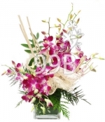 Magestic And Classic