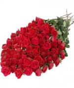 Sensation 50 Red Roses