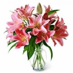 Pink Lily In Vase