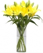 Yellow Magic