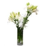 Splendid Arrangement
