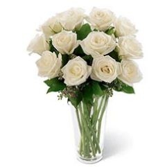 Beauty Of White