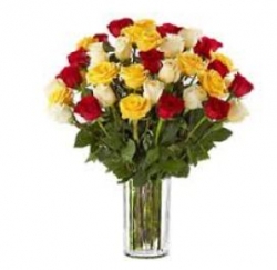 Vase Arrangement Of Colourful Roses