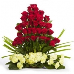 Romantic Gesture 55 Roses & Carnations