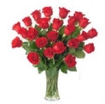 Loving Beauty