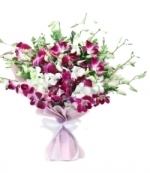 Carnival Of Blessings