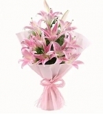 Magic Of Lily