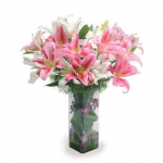 Oriental lilies