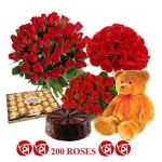 200 Roses 5 Star Cake Ferrero Rocher & Teddy