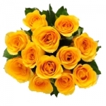 Friendship Bouquet