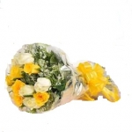 Yellow N White Divine