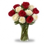 12 Red N White Roses In Vase