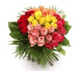 50 Roses
