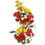 50 Gerberas  Arrangement