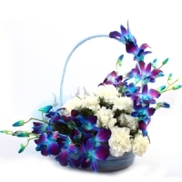 6 Blue Orchids 6 White Carnations basket