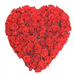 Heart Shape 100 Red Rose