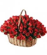 100 Roses