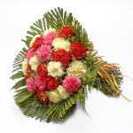 Mix Color Carnations