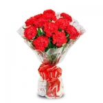 Red Carnations