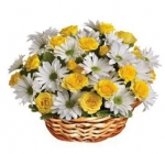 Gorgeous flower