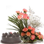 Best Wishes  20 Carnations with 1/2 kg chocolate cake.
