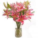Pinky Love Lily